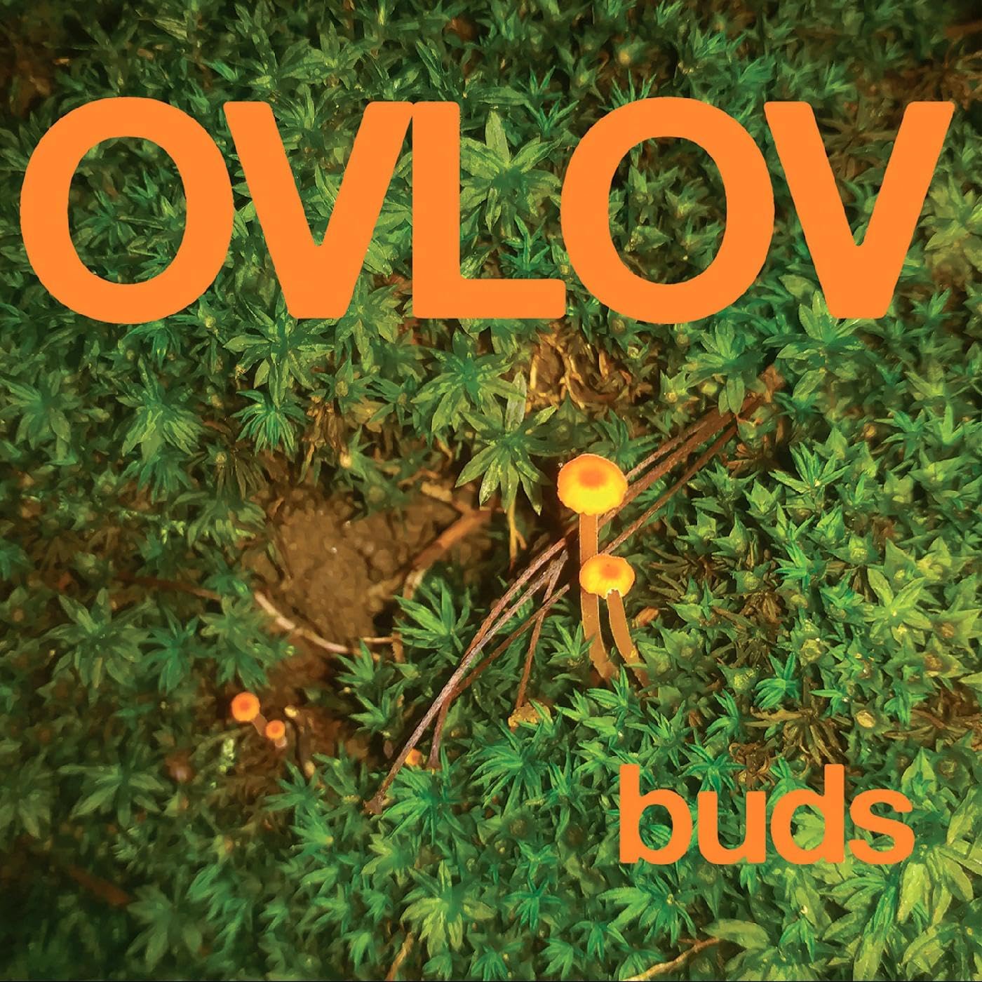 BUDS/VINYLE VERT - Front Cover
