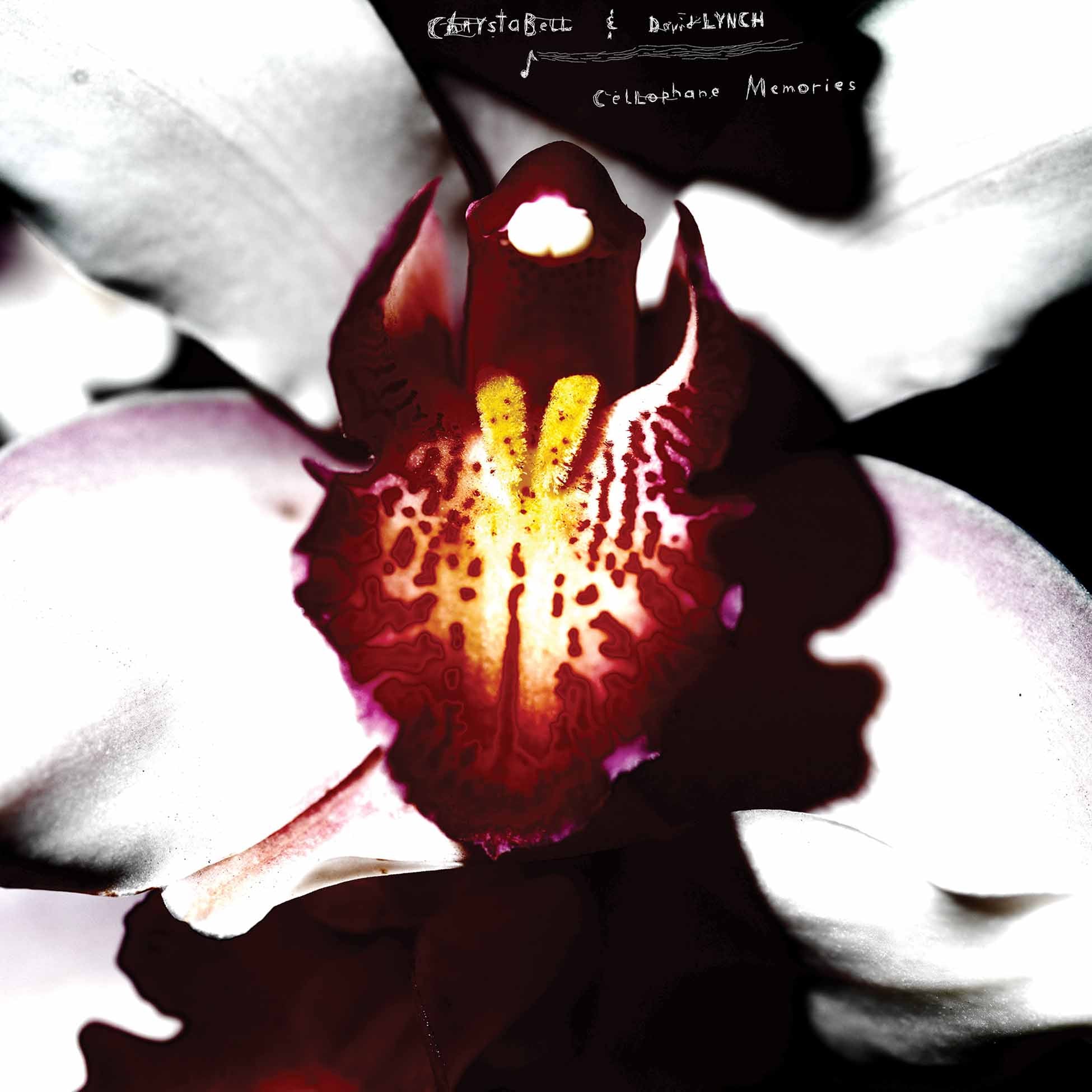 Cellophane Memories - Front Cover