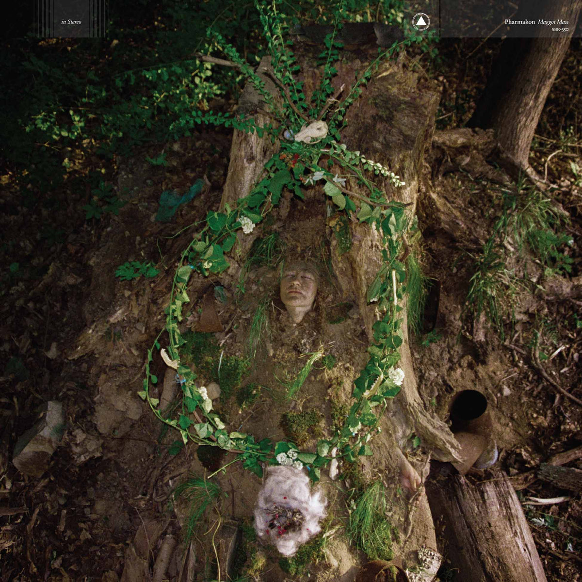 Maggot Mass - Front Cover