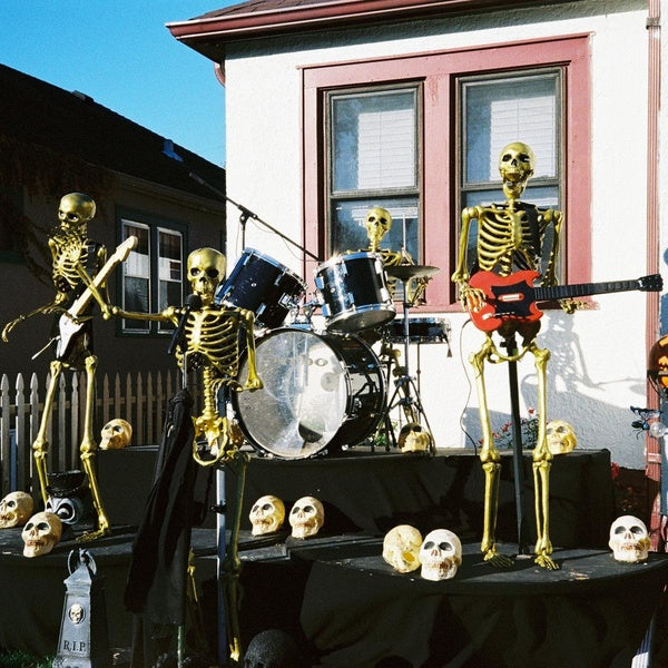 Life Till Bones - Front Cover