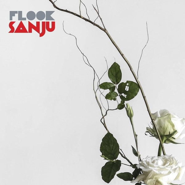 SANJU - Front Cover