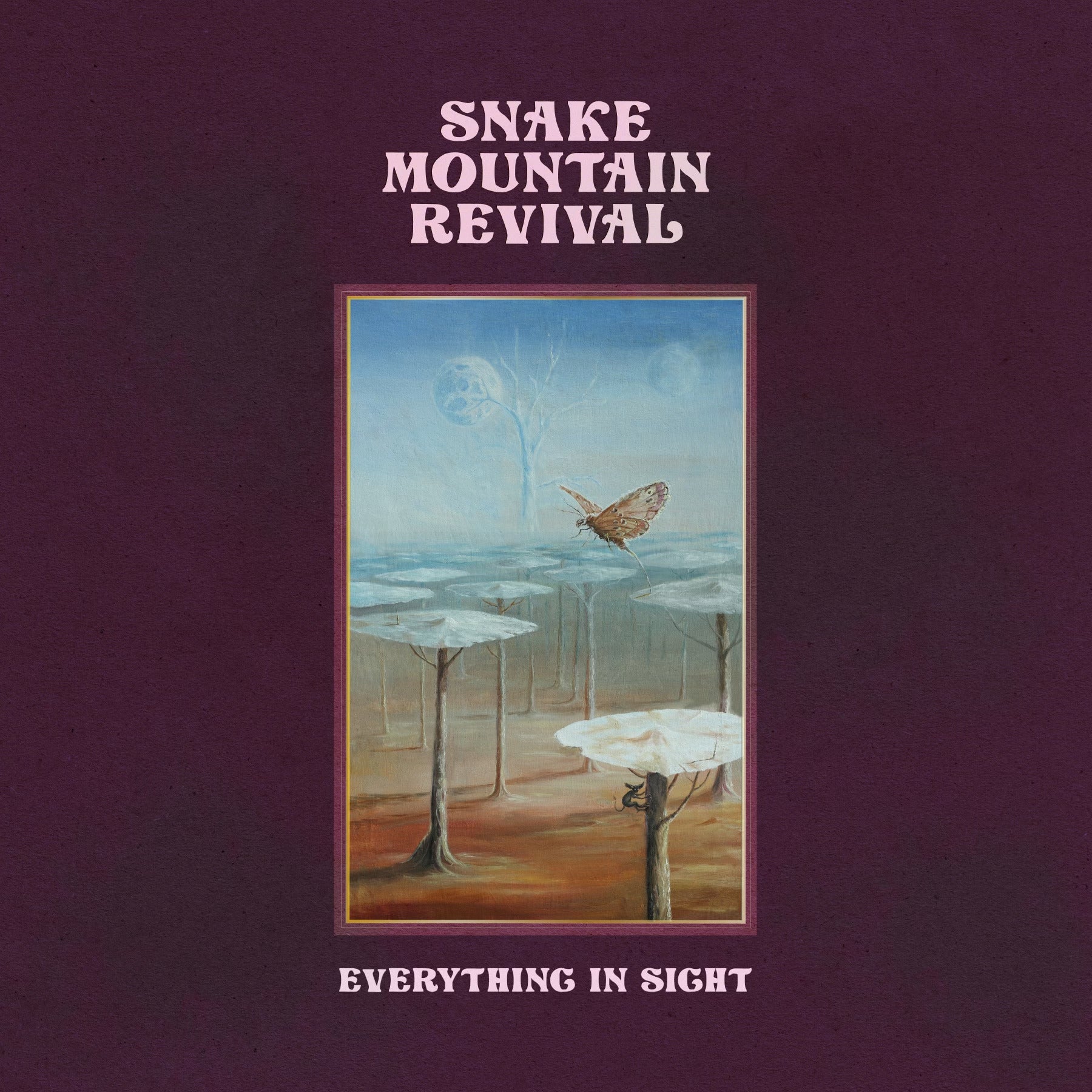 Everything In Sight - Front Cover