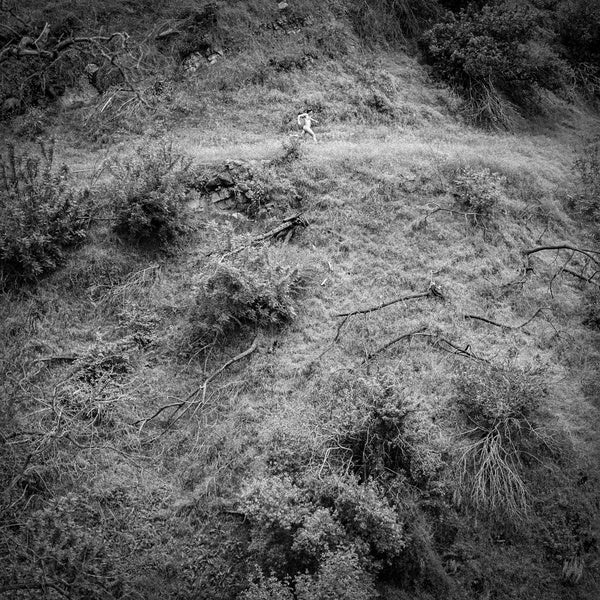 Animal Poem - Front Cover