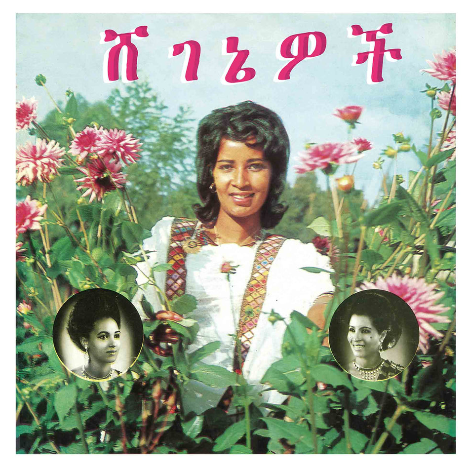 Beauties - Front Cover