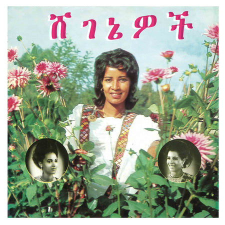 Beauties - Front Cover