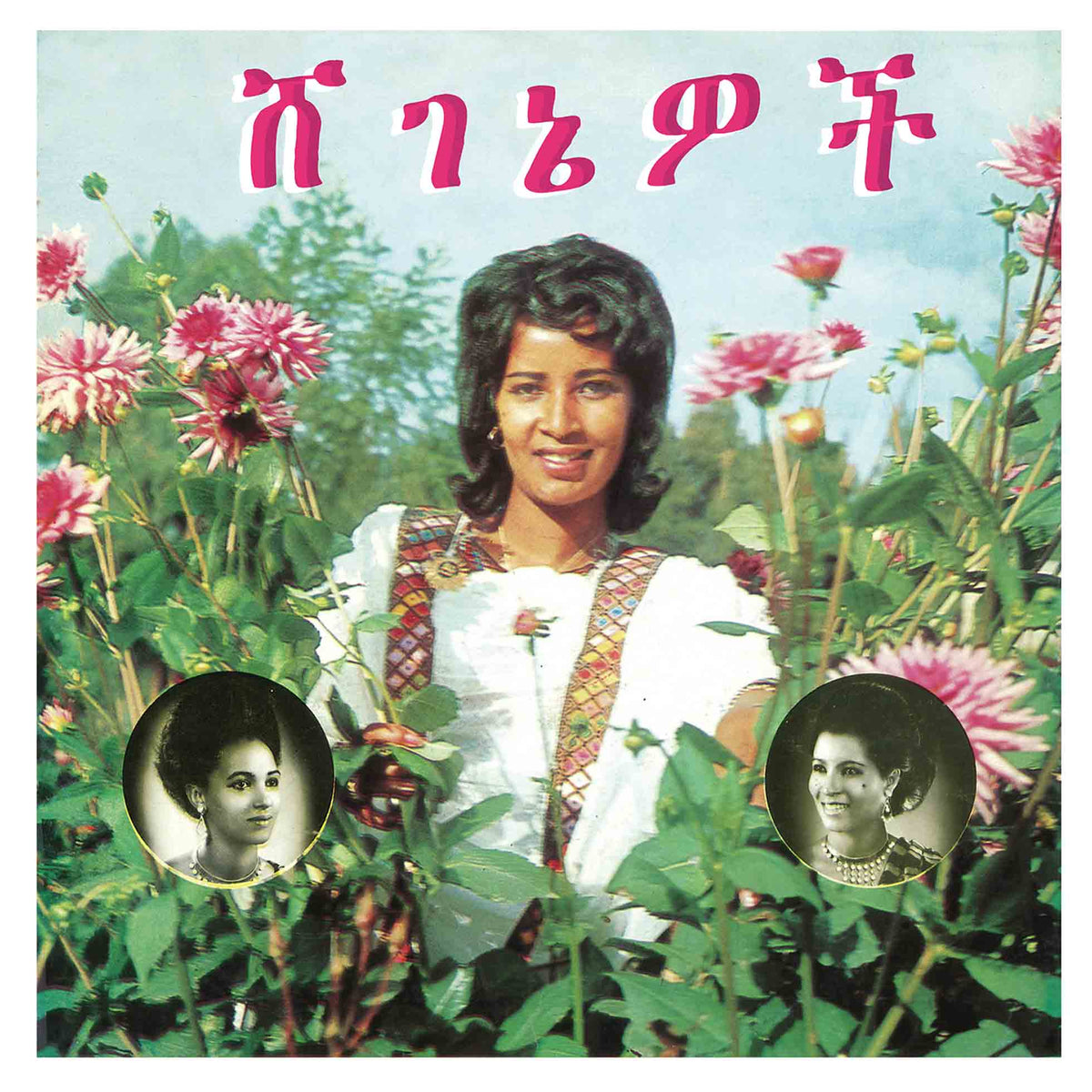 Beauties - Front Cover