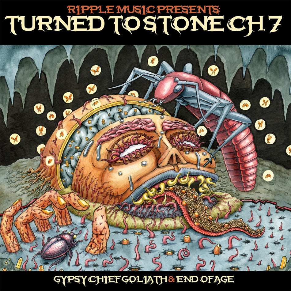 Turned To Stone: Chapter 7 - Front Cover