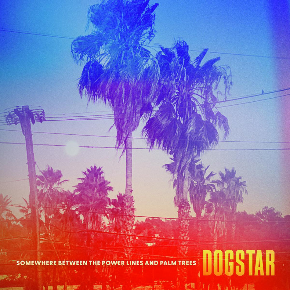 SOMEWHERE BETWEEN THE POWER LINES AND PALM TREES - Front Cover
