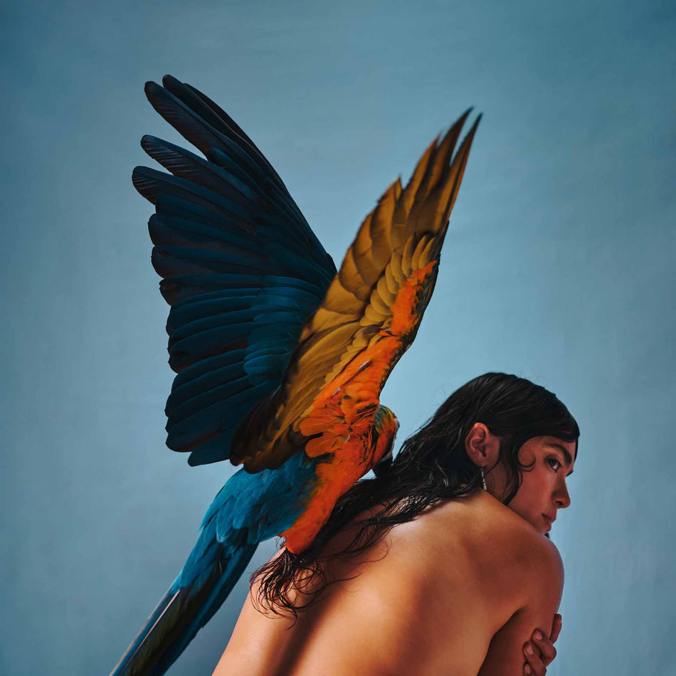 Malegria - Front Cover