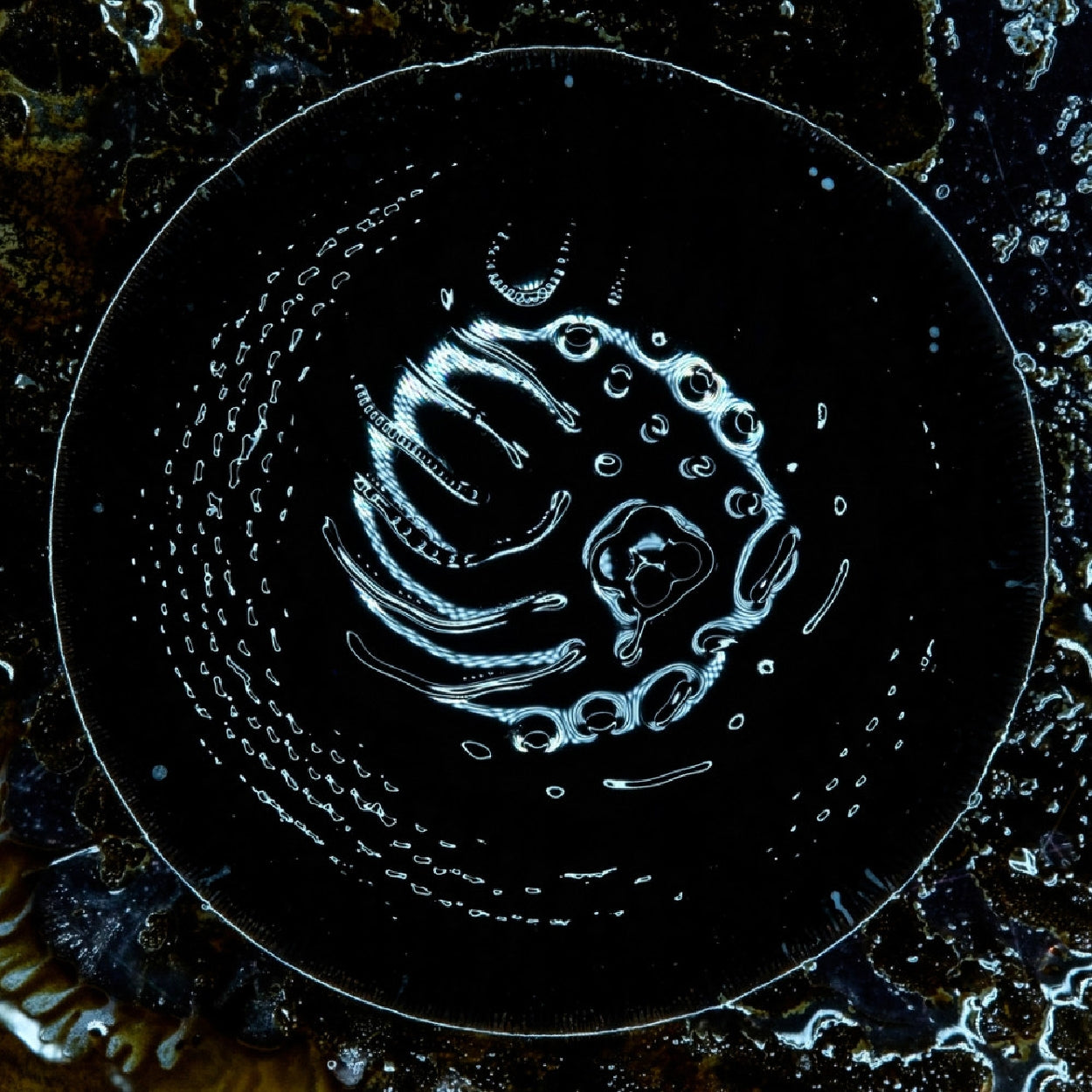 Stonus - Front Cover