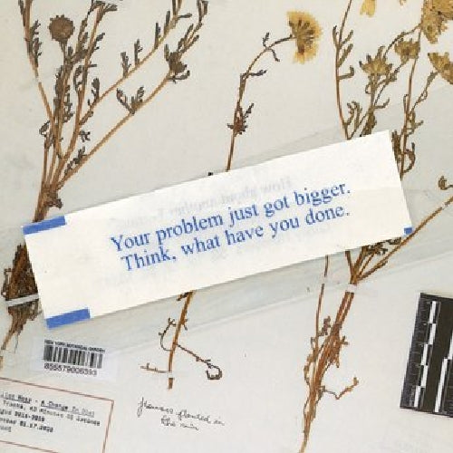 A Change In Diet - Front Cover