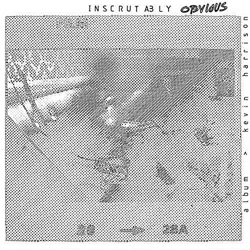 Inscrutably Obvious - Front Cover