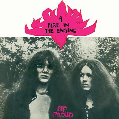 A Bird in the Engine - Front Cover