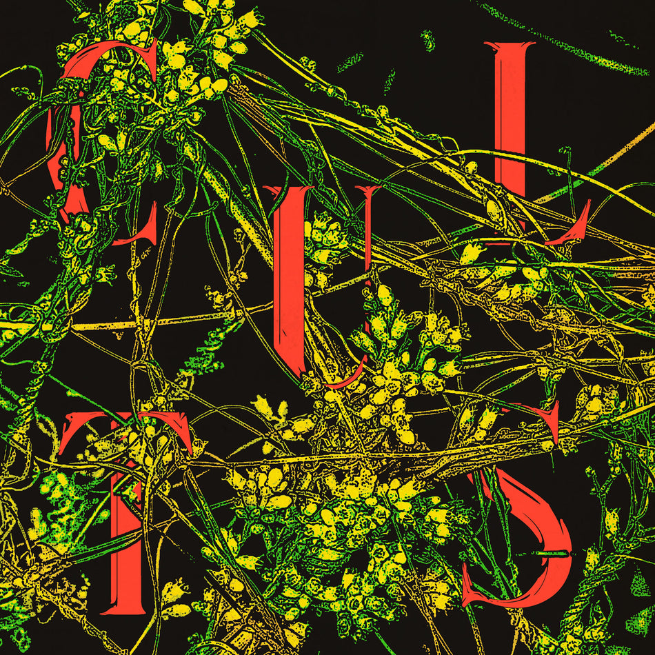 HOST - Front Cover