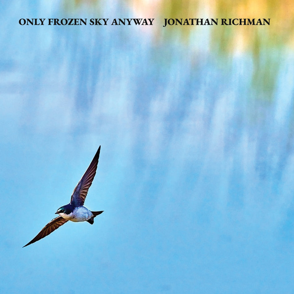 Only Frozen Sky Anyway - Front Cover
