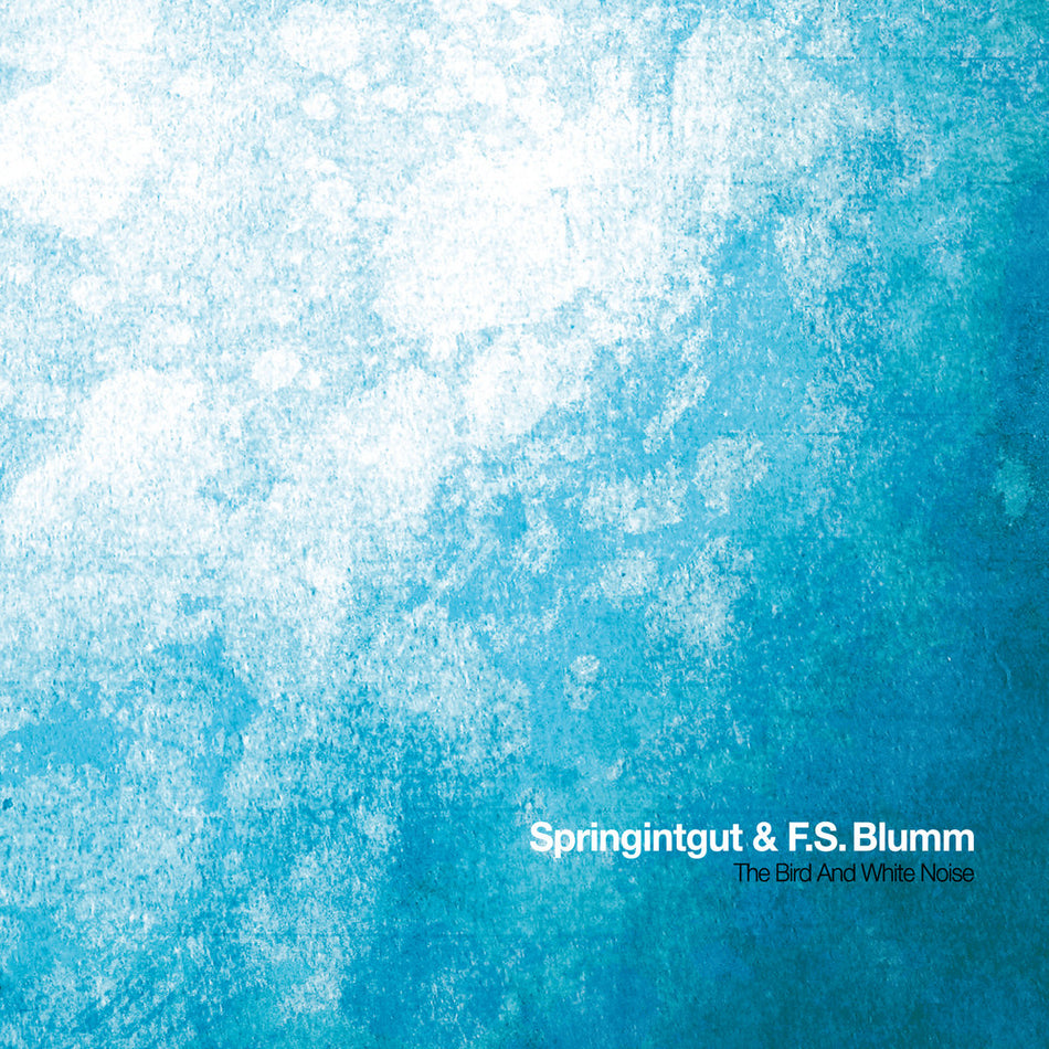 The Bird and White Noise - Front Cover