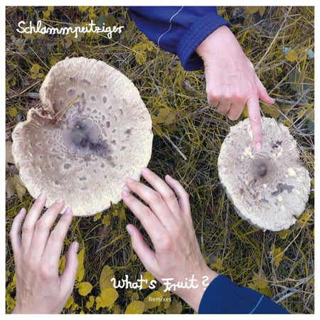 What's Fruit? Remixes - Front Cover