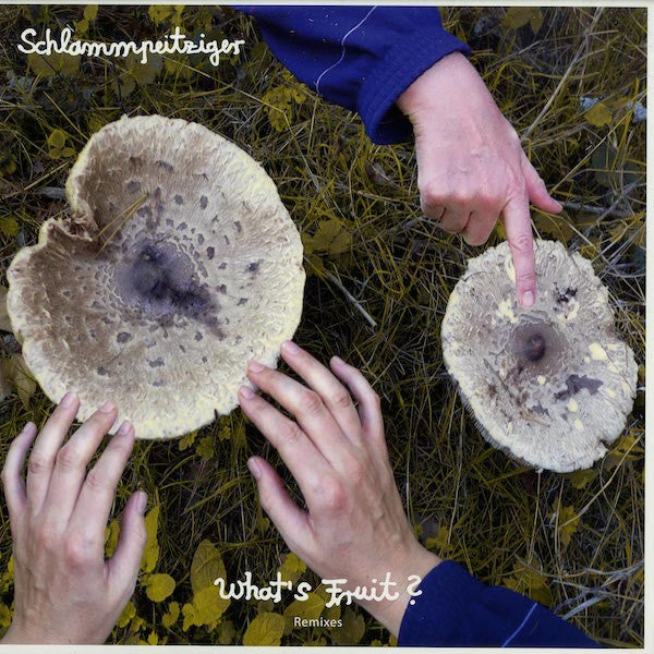Schlammpeitziger - What's Fruit? Remixes