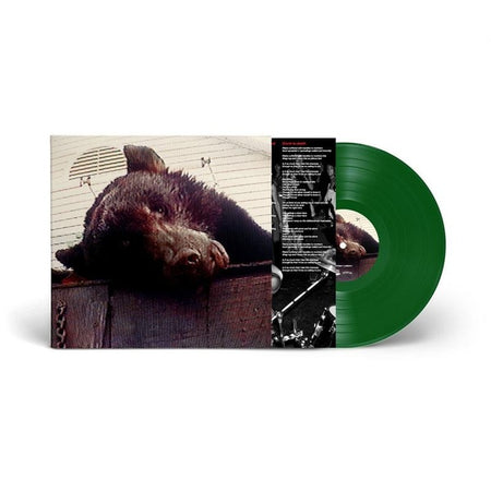 Violence - Front Cover