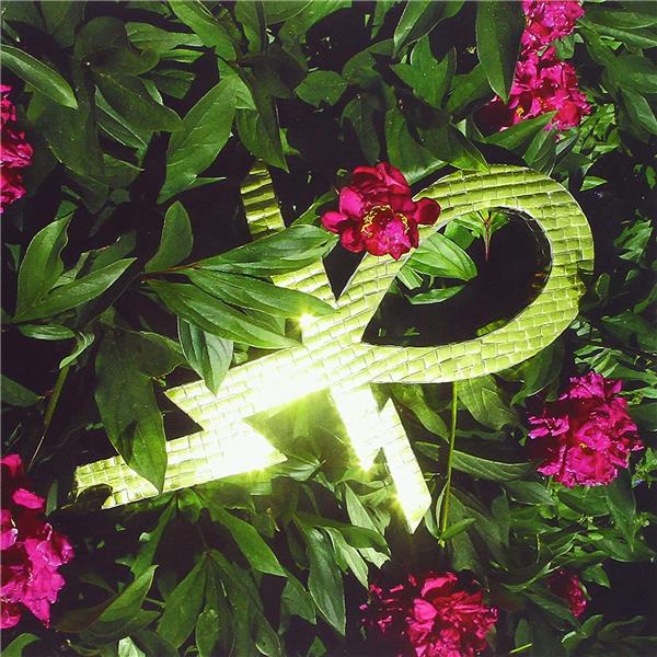Paraphernalia - Front Cover