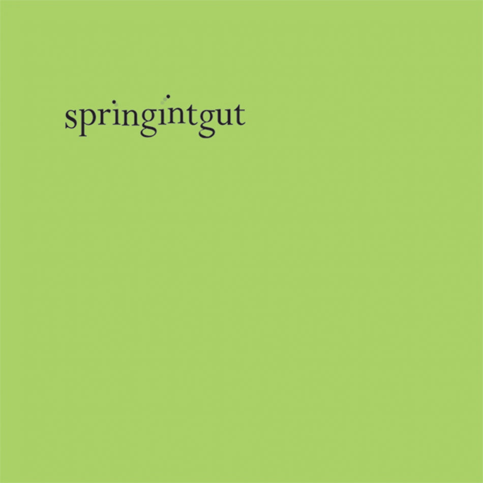 Springintgut EP - Front Cover
