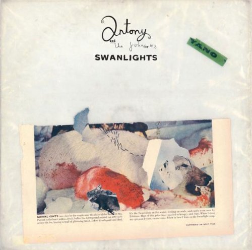SWANLIGHTS - Front Cover