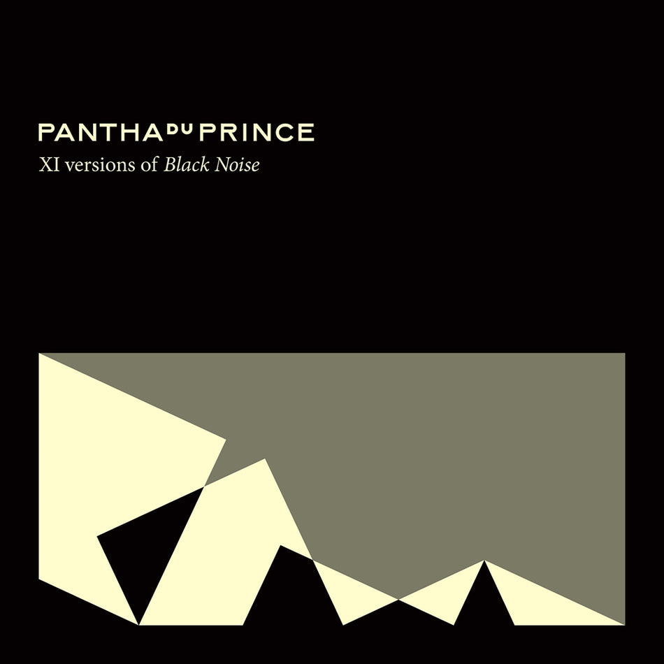 XI VERSIONS OF BLACK NOISE - Front Cover