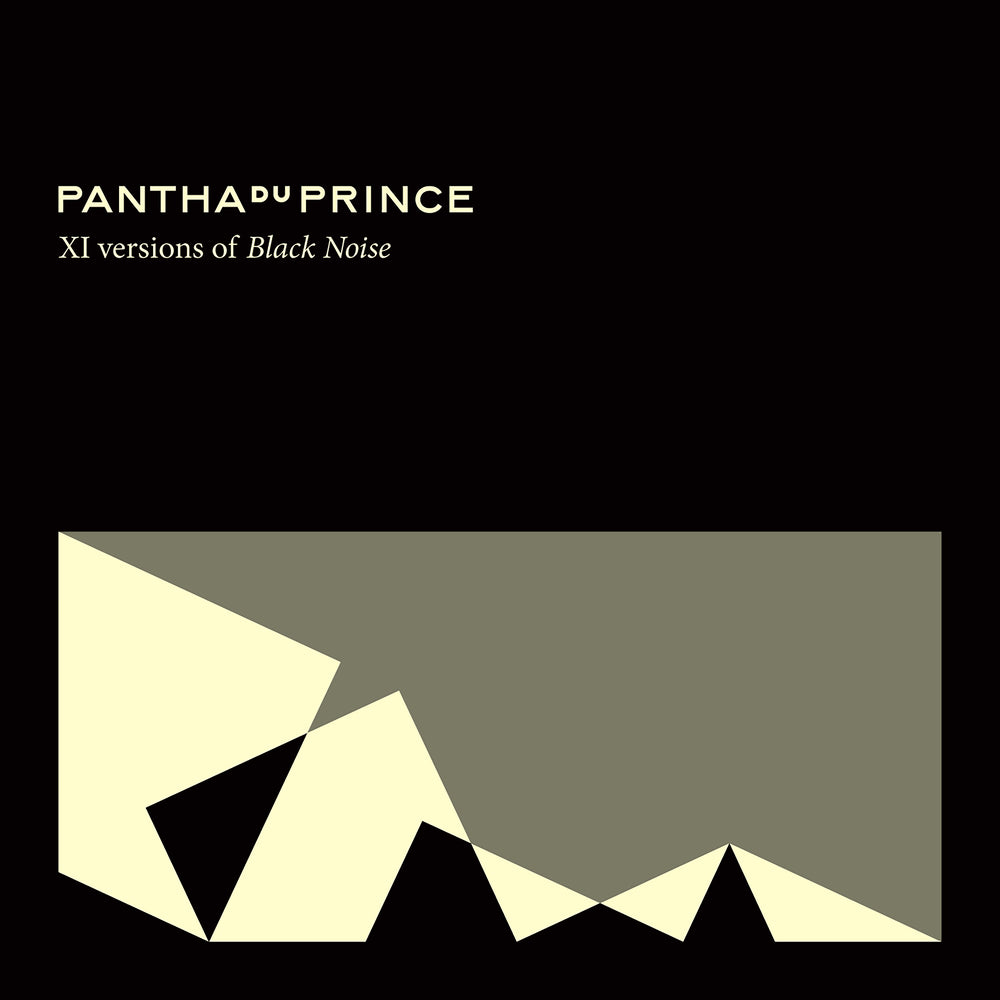 XI VERSIONS OF BLACK NOISE - Front Cover