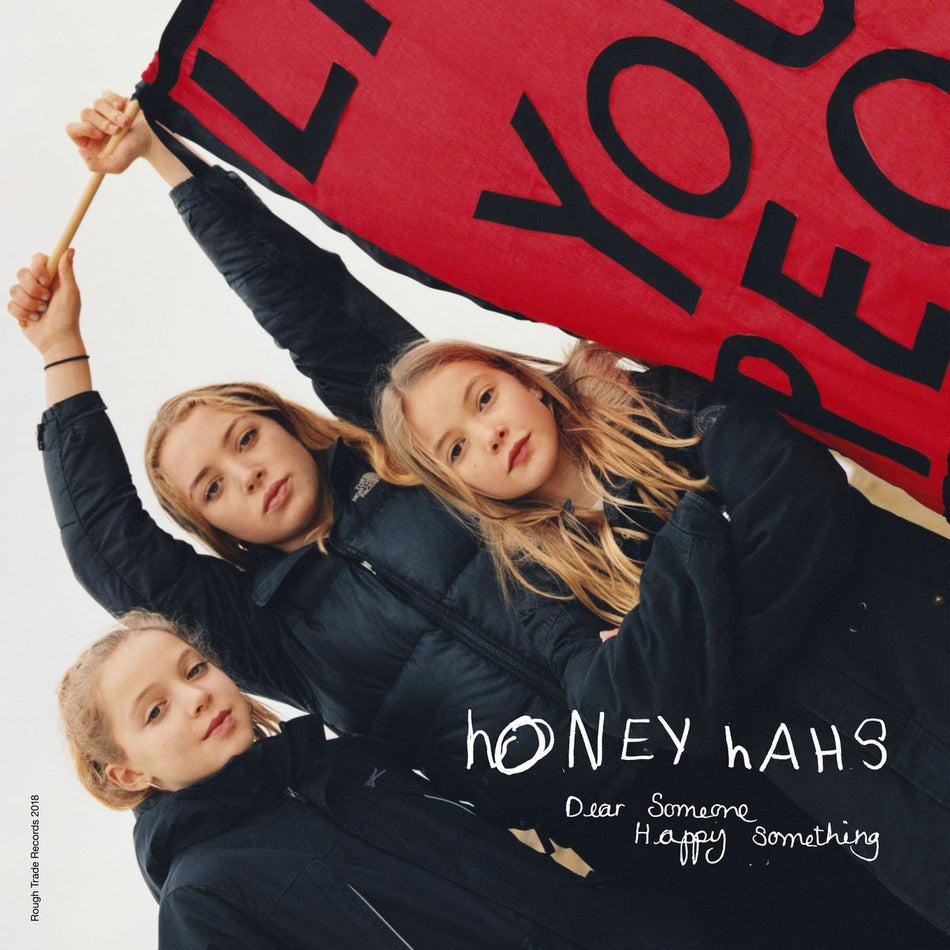 DEAR SOMEONE, HAPPY SOMETHING - Front Cover