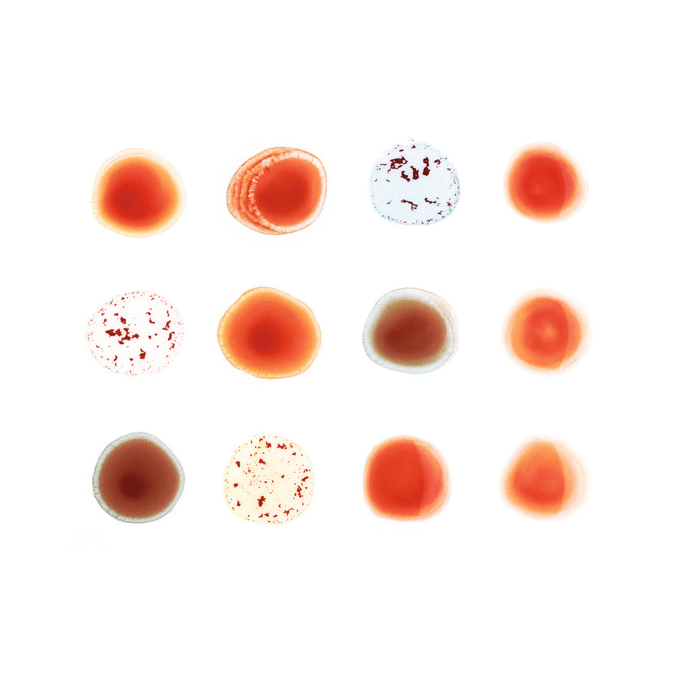 SCRATCH MY BACK AND I LL SCRATCH YOURS/VINYLE NOIR AUDIOPHILE 180GR/POCHETTE GATEFOLD - Front Cover