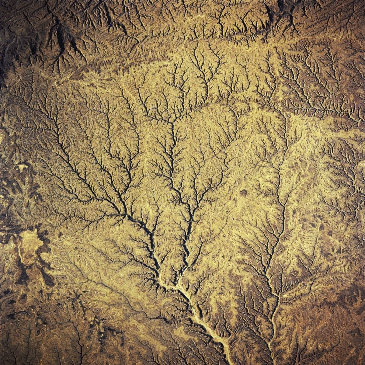 Passion: Sources - Front Cover