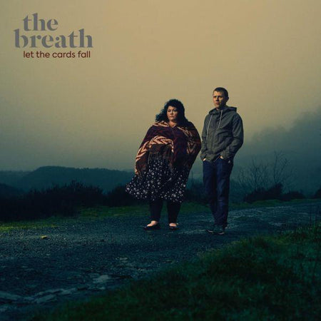 Let The Cards Fall - Front Cover