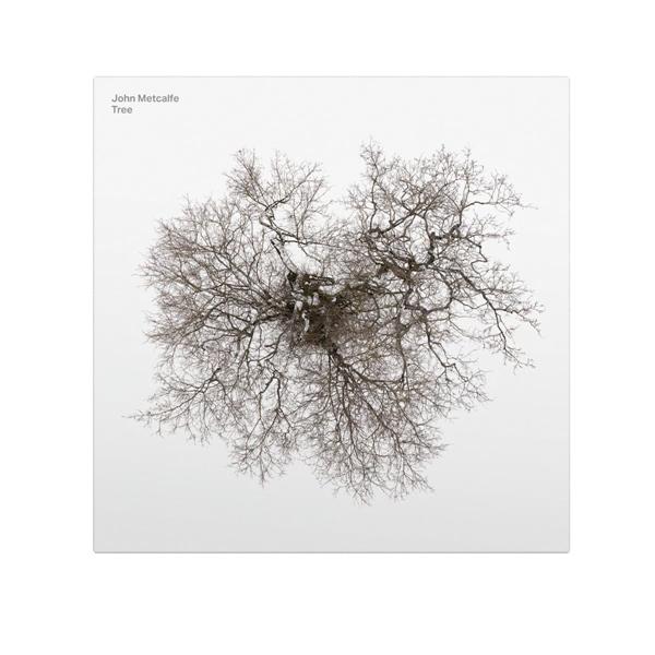 Tree - Front Cover
