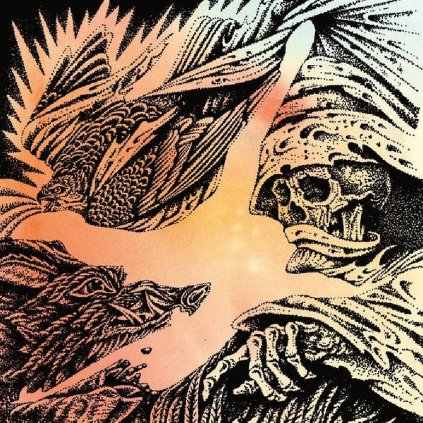 Focus - Front Cover