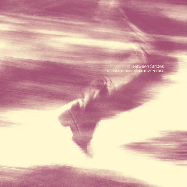 In Between Strides - Front Cover