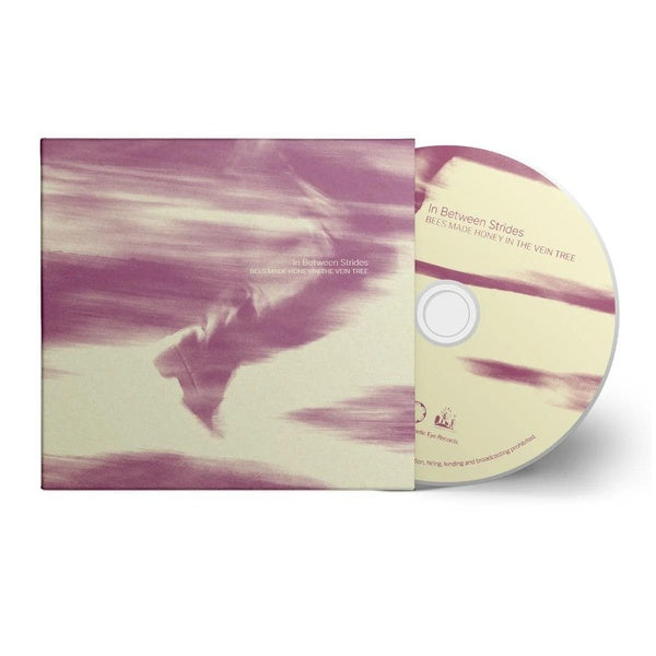 In Between Strides - Front Cover