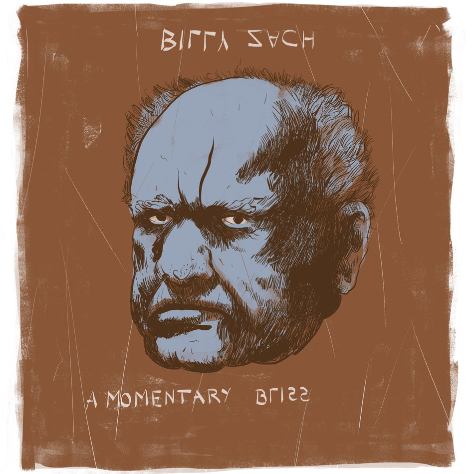 A Momentary Bliss - Front Cover