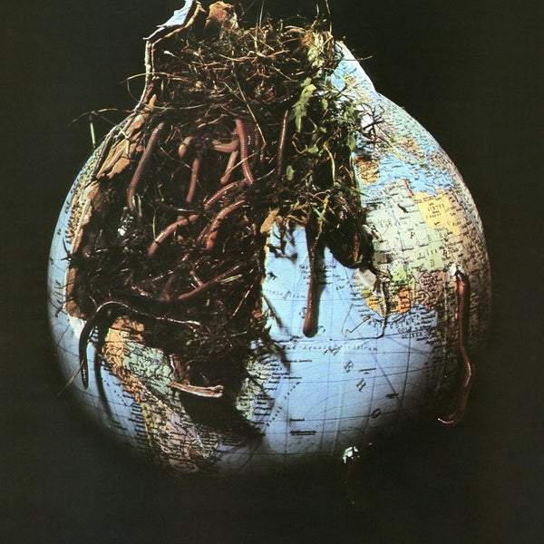 Drosselbart - Front Cover