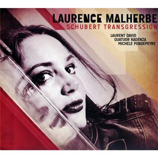 Schubert transgressions - Front Cover