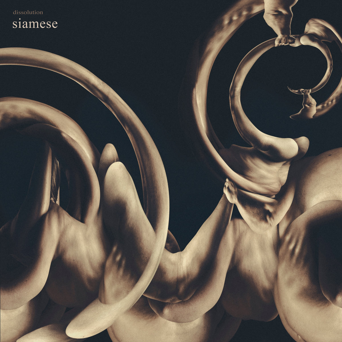 Dissolution - Front Cover