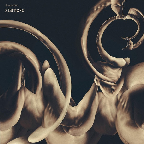 Dissolution - Front Cover