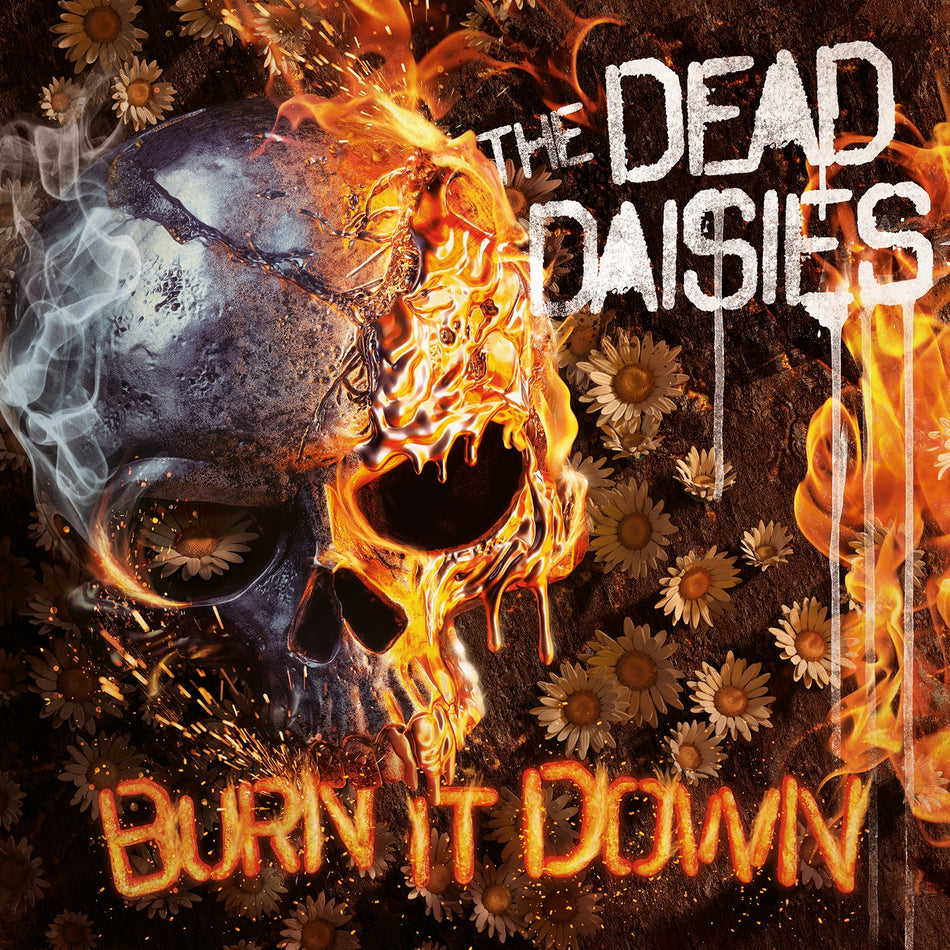 Burn It Down - Front Cover