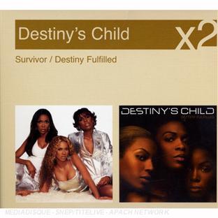 Survivor - Destiny fulfilled - Front Cover