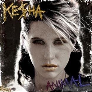 Animal - Front Cover