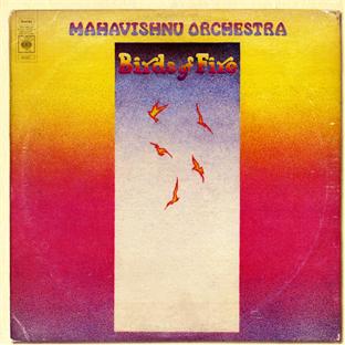 Birds of fire - Front Cover