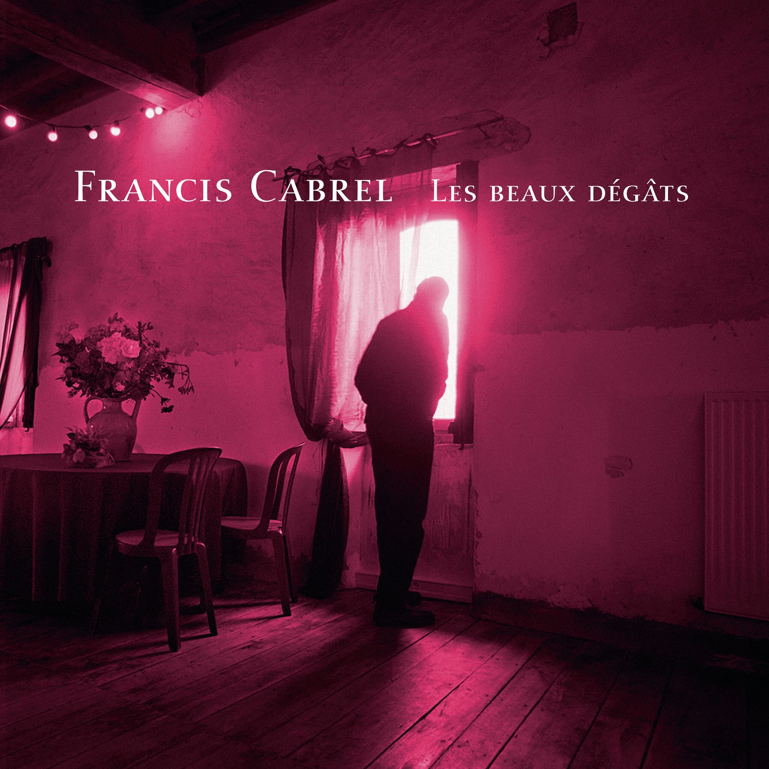 Les beaux dégats - Front Cover