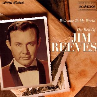 Welcome to my world (the best of) - Front Cover