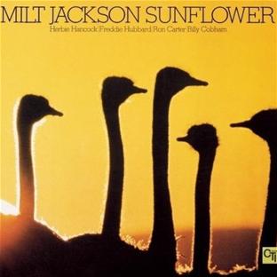 Sunflower - Front Cover