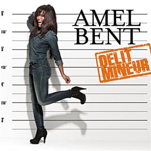 Délit mineur - Front Cover