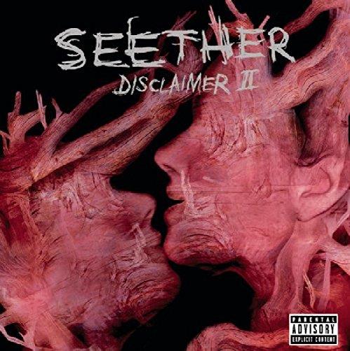 Disclaimer II - Front Cover